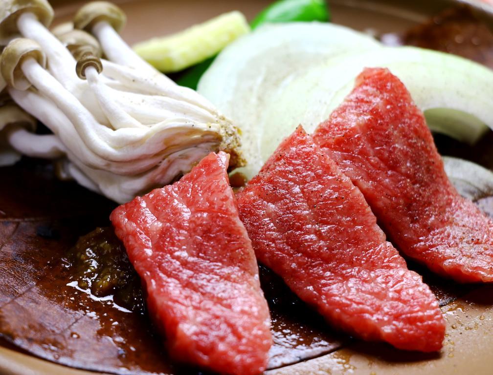 Hotel Miyamaso Takayama  Zewnętrze zdjęcie